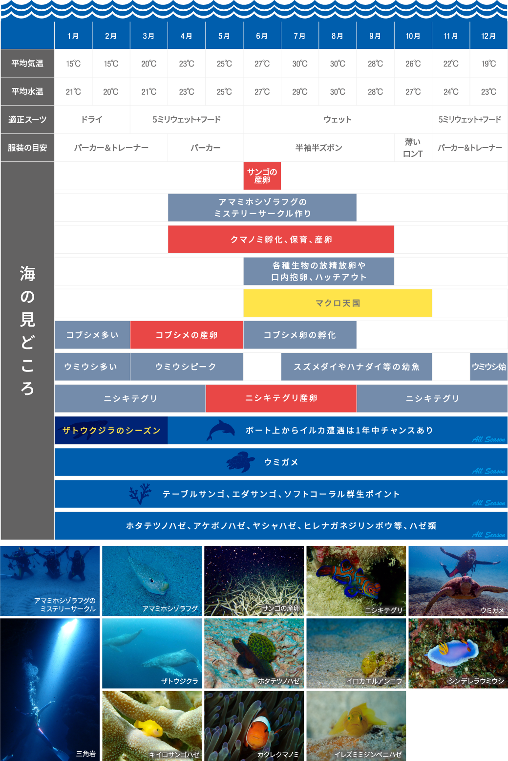 シーズナリティ